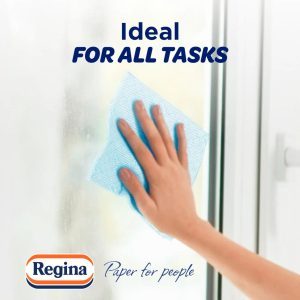Regina Blitz Household Towel, 3-Ply, 3 Rolls