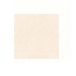 BJ Disposable Loofah Dishcloth (25*25cm) - 20-Piece Pack