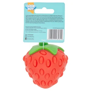 Good Boy Squeaky Fruit Dog Toy (Assorted)
