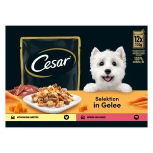Cesar Country Stew Adult Wet Dog Food Trays Special Selection 8 x 150g