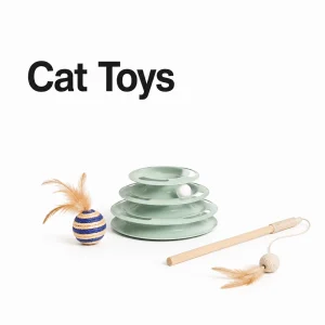 Cat Toys