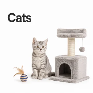 Cats