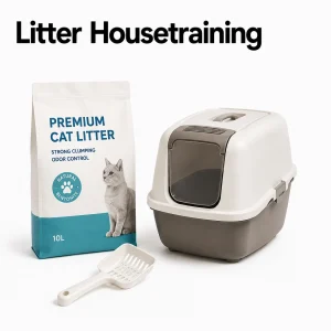 Litter Housetraining